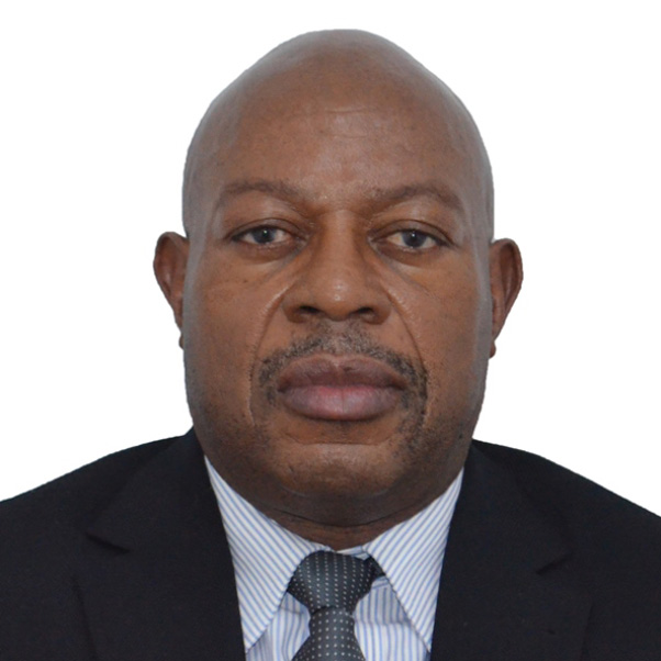 Portrait of Tendai Madzikanda, Managing Director of DNMZ International